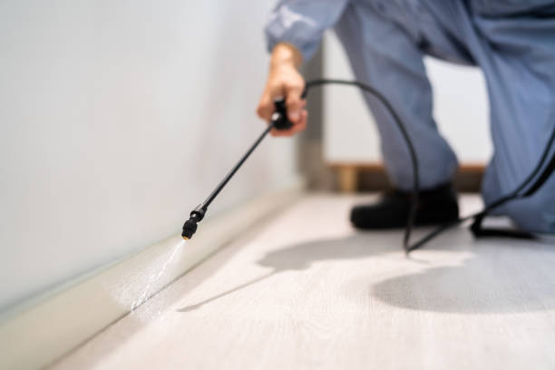 Professional exterminator conducting IPM assessment in Orange